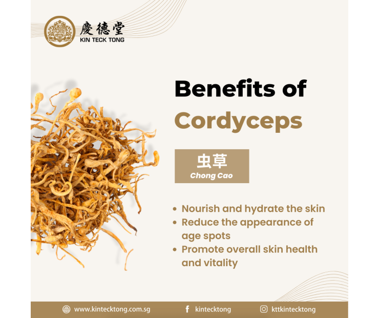 Cordyceps Intensive Repair Essence